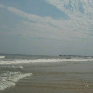 Meet your Posher, Penny